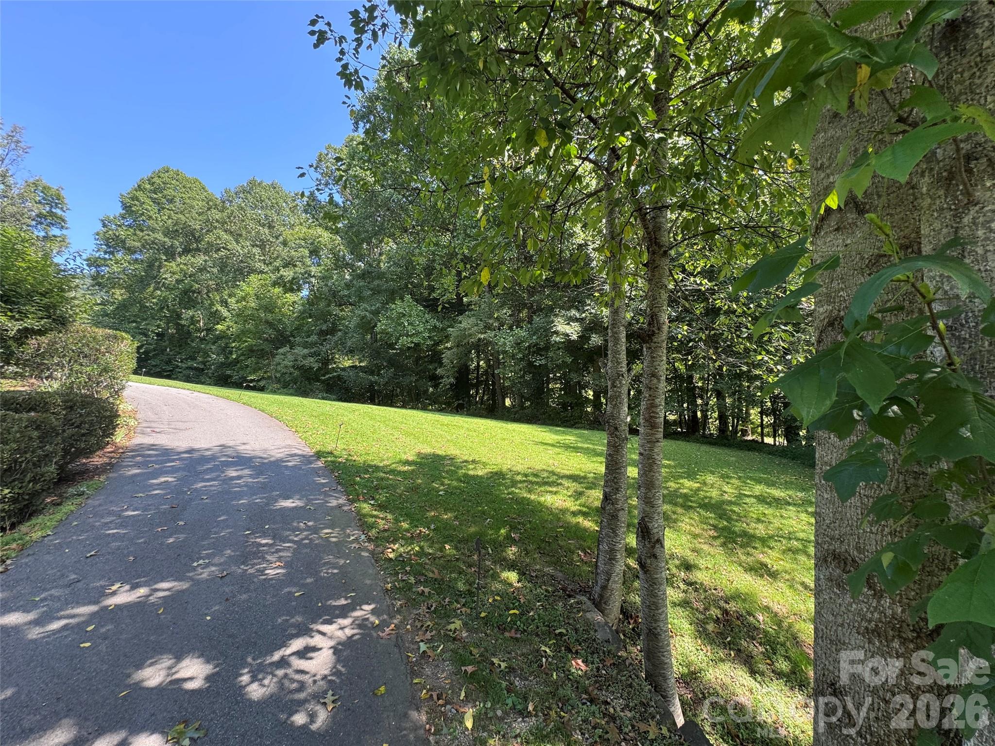 101 ± Acres Timbersong Drive Property Photo 9