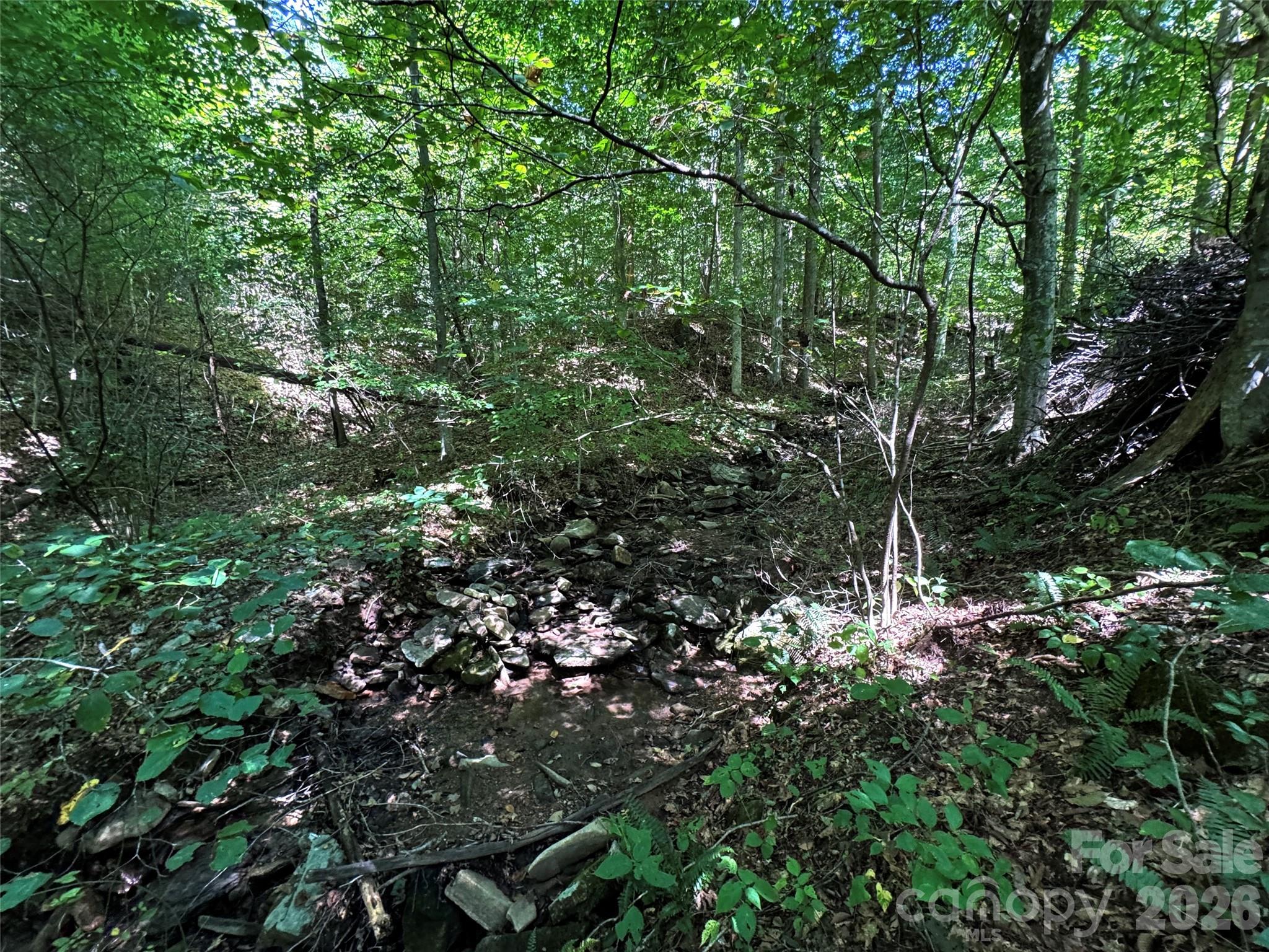 101 ± Acres Timbersong Drive Property Photo 11