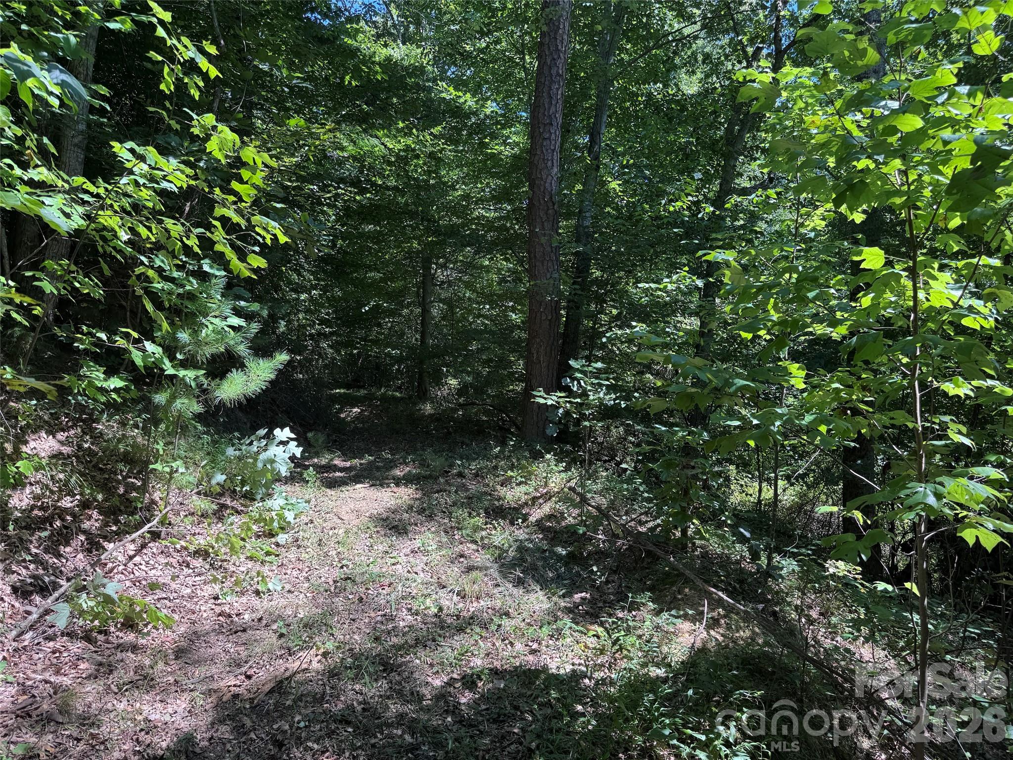 101 ± Acres Timbersong Drive Property Photo 12