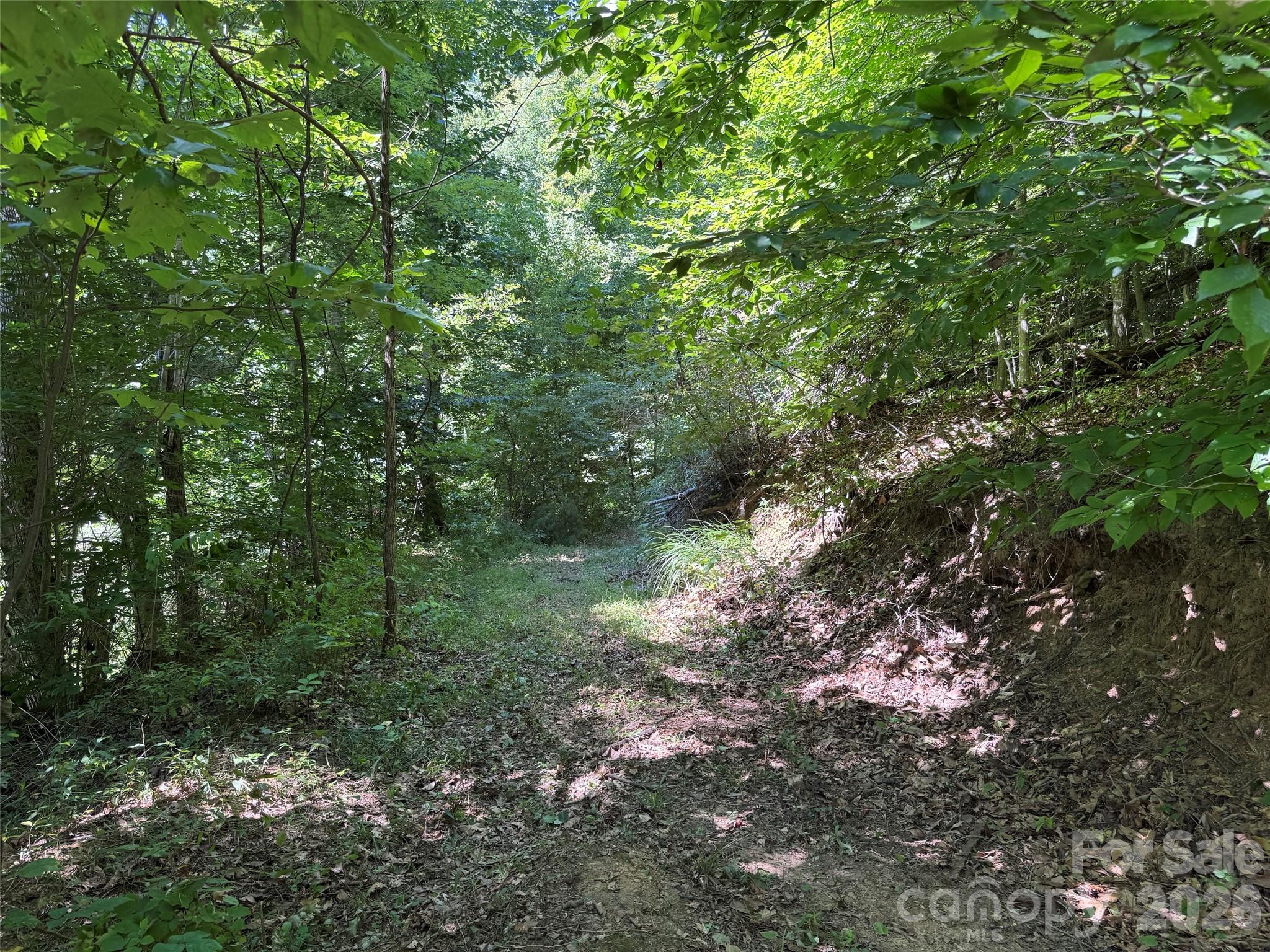 101 ± Acres Timbersong Drive Property Photo 13