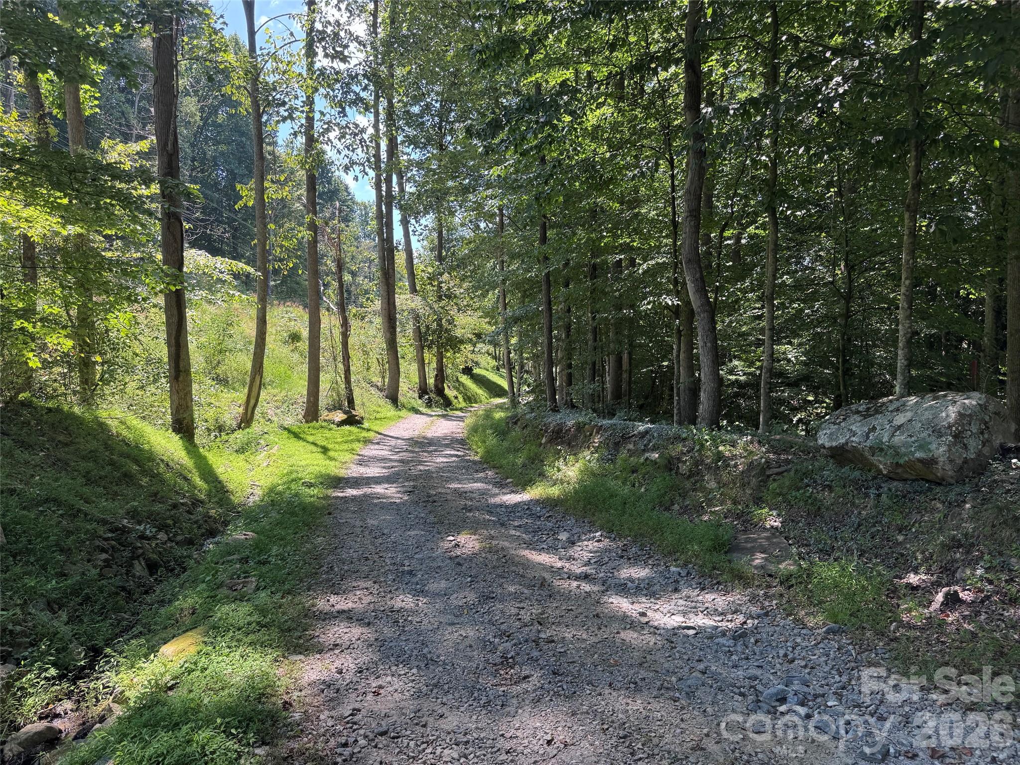 101 ± Acres Timbersong Drive Property Photo 15