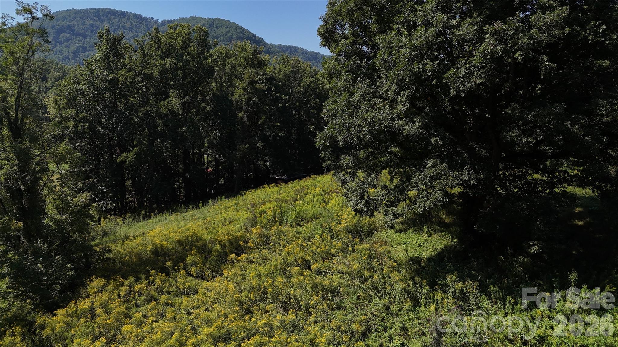 101 ± Acres Timbersong Drive Property Photo 18