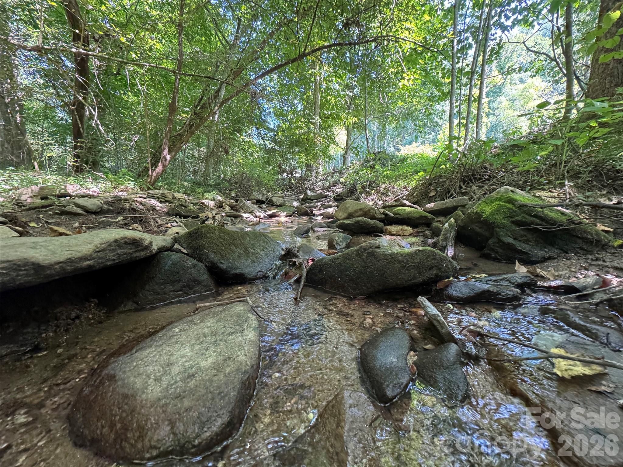 101 ± Acres Timbersong Drive Property Photo 19