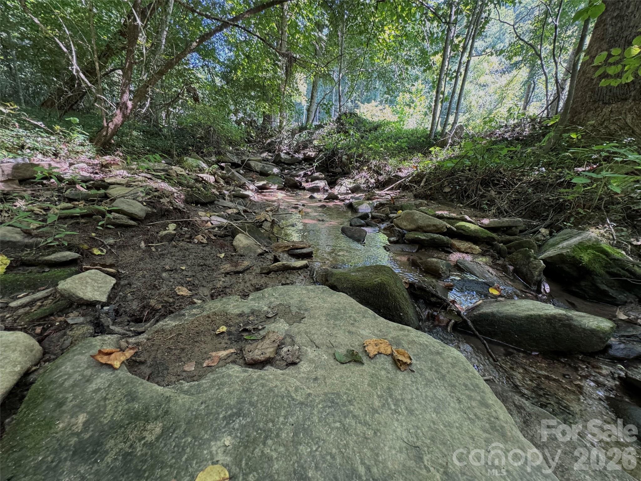 101 ± Acres Timbersong Drive Property Photo 20