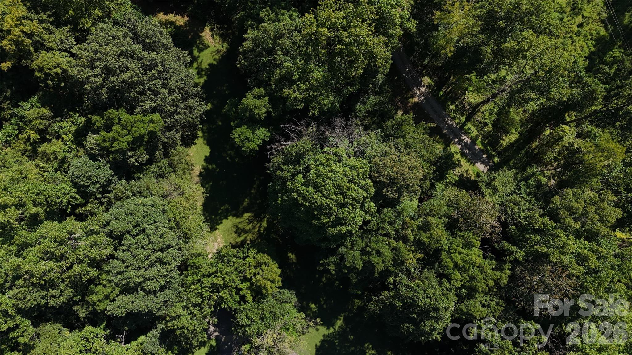 101 ± Acres Timbersong Drive Property Photo 25