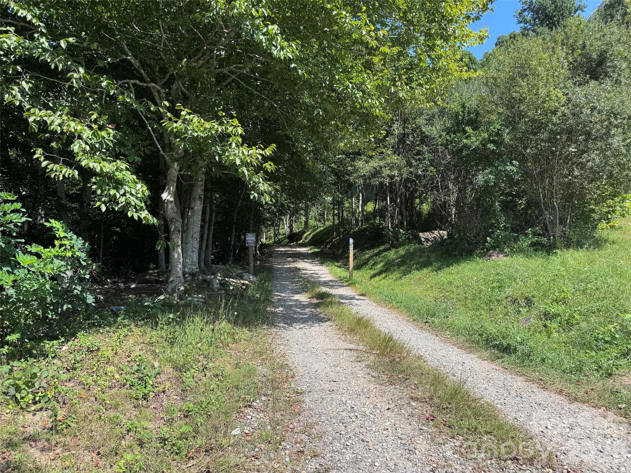 101 ± Acres Timbersong Drive Property Photo 26