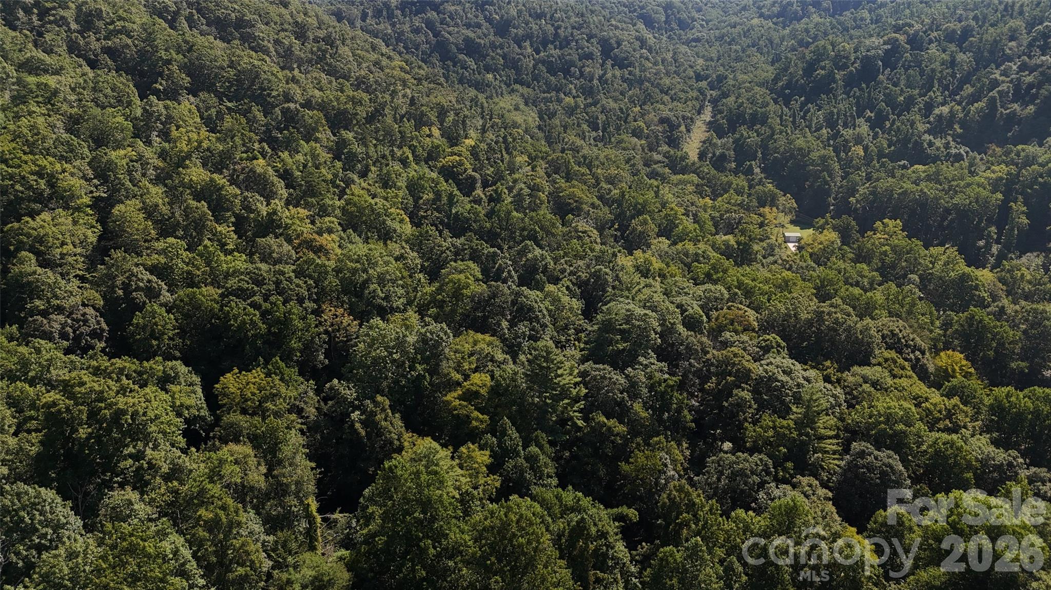101 ± Acres Timbersong Drive Property Photo 28