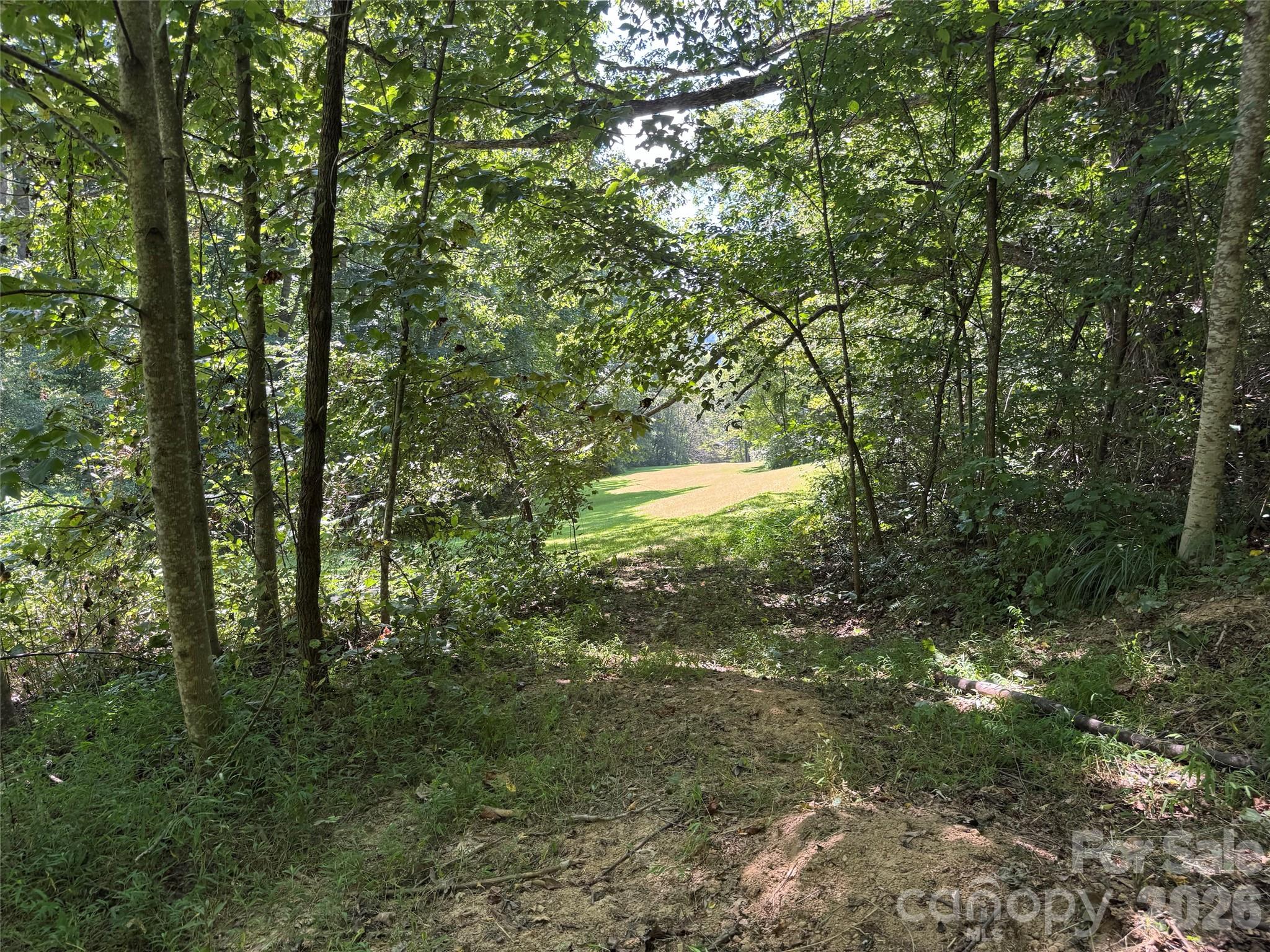 101 ± Acres Timbersong Drive Property Photo 29