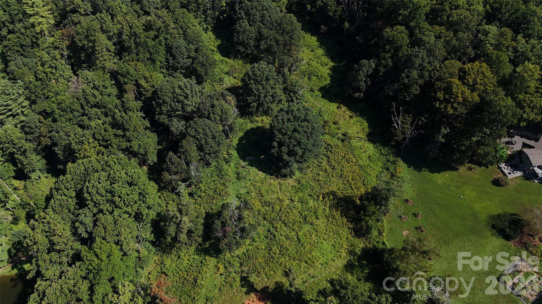 101 ± Acres Timbersong Drive Property Photo 30