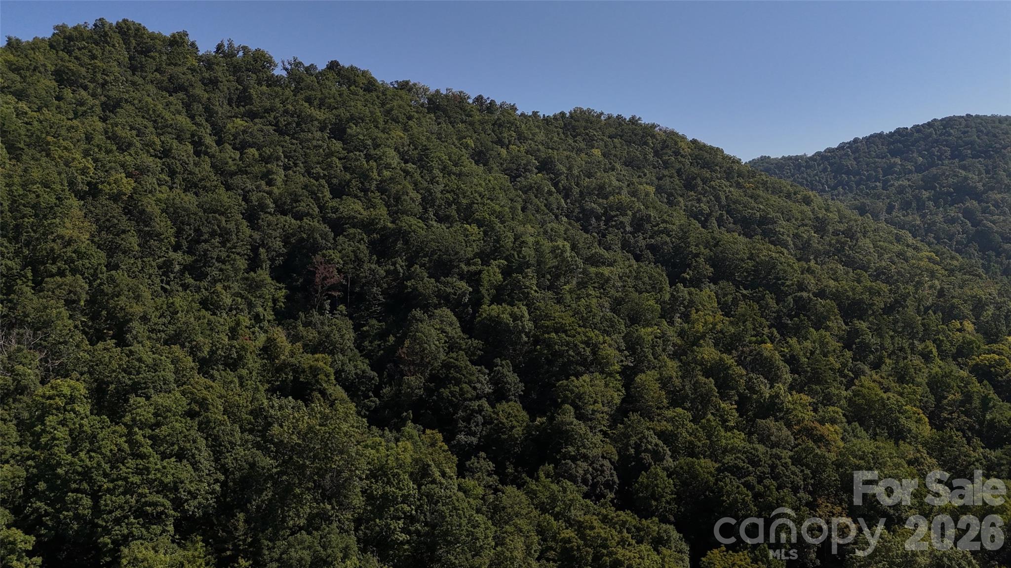 101 ± Acres Timbersong Drive Property Photo 36