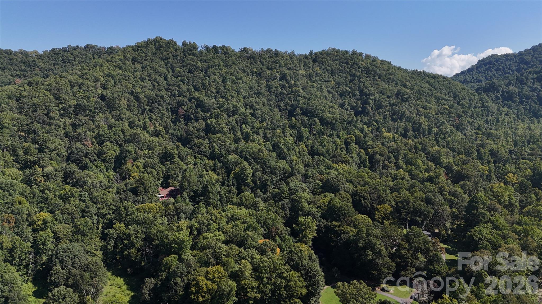 101 ± Acres Timbersong Drive Property Photo 37