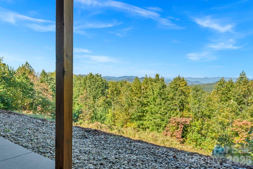 334 Scenic Vista Drive Property Photo 34