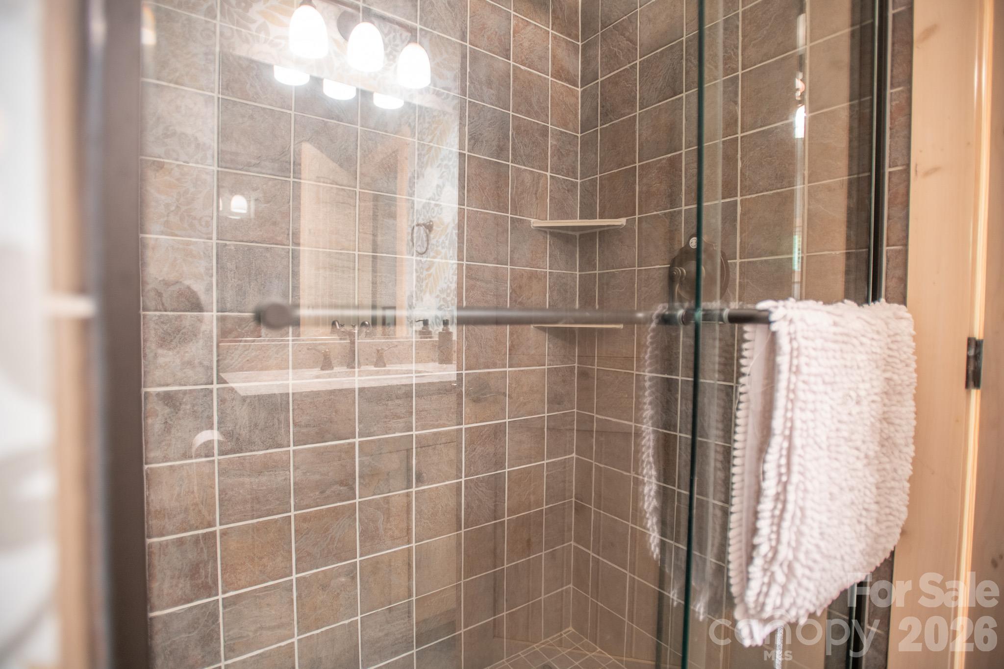 350 Celo Cove Drive Property Photo 26