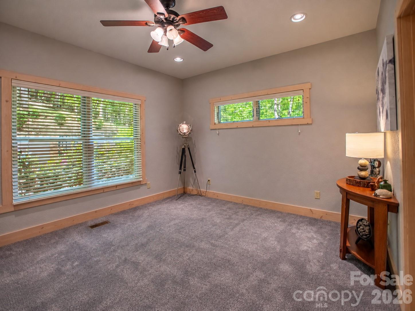 350 Celo Cove Drive Property Photo 28