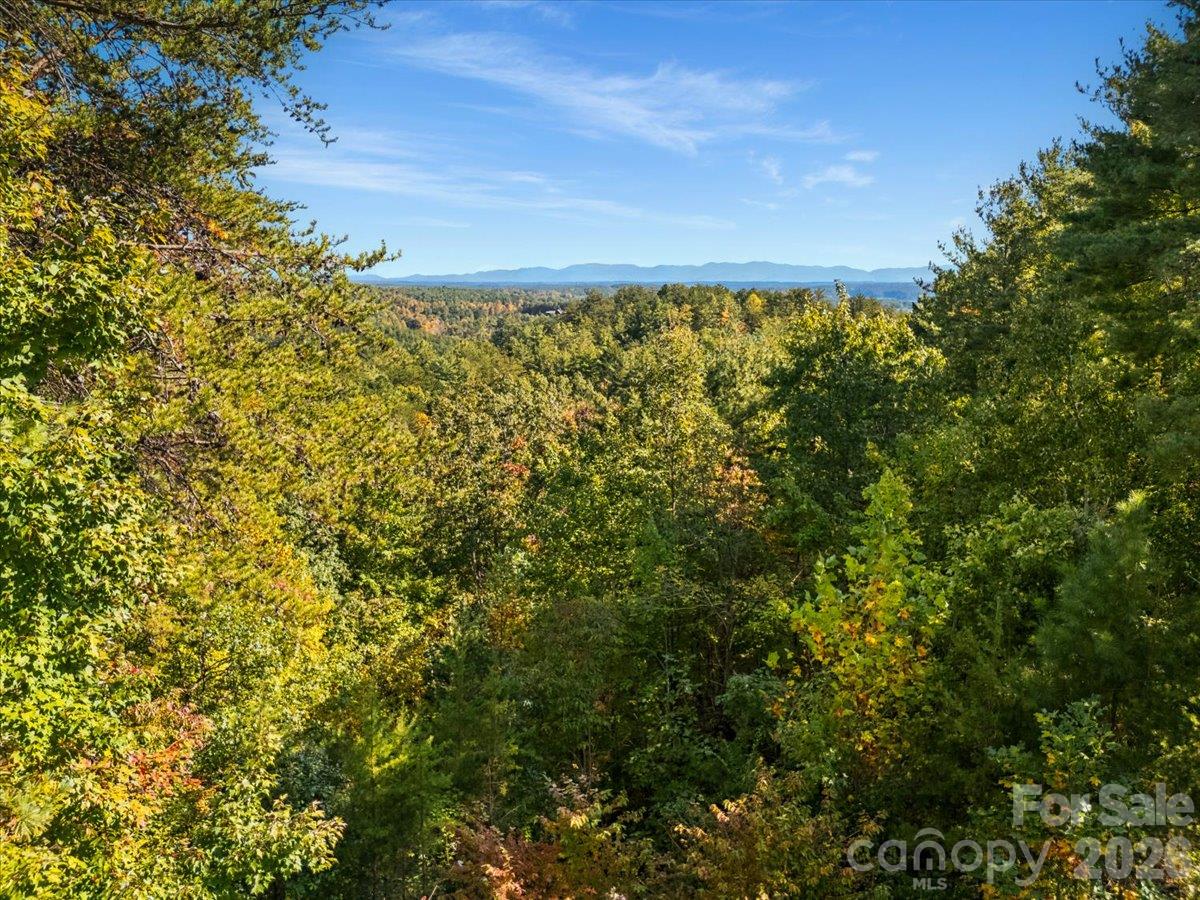 1016 Horizon Trail Property Photo 45