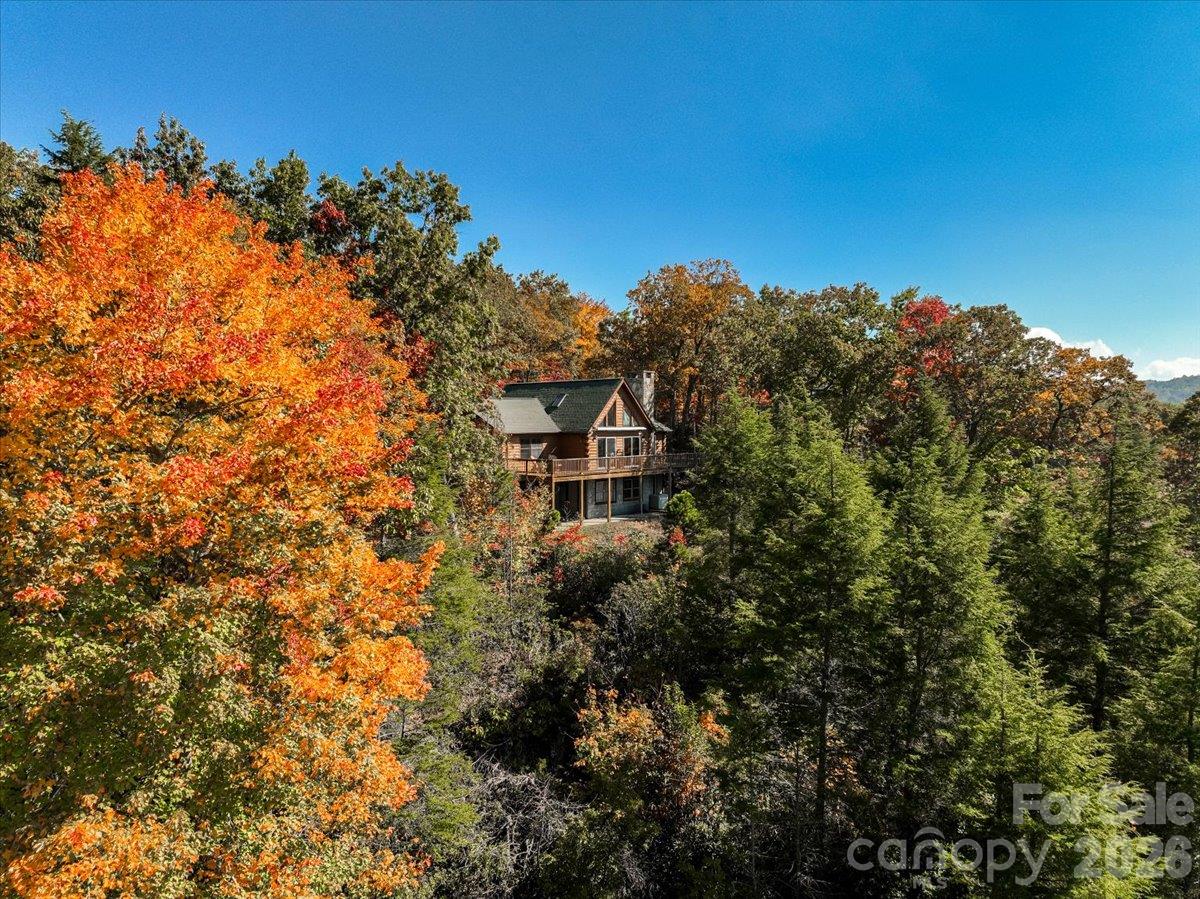 807 Pine Tree Road Property Photo 4