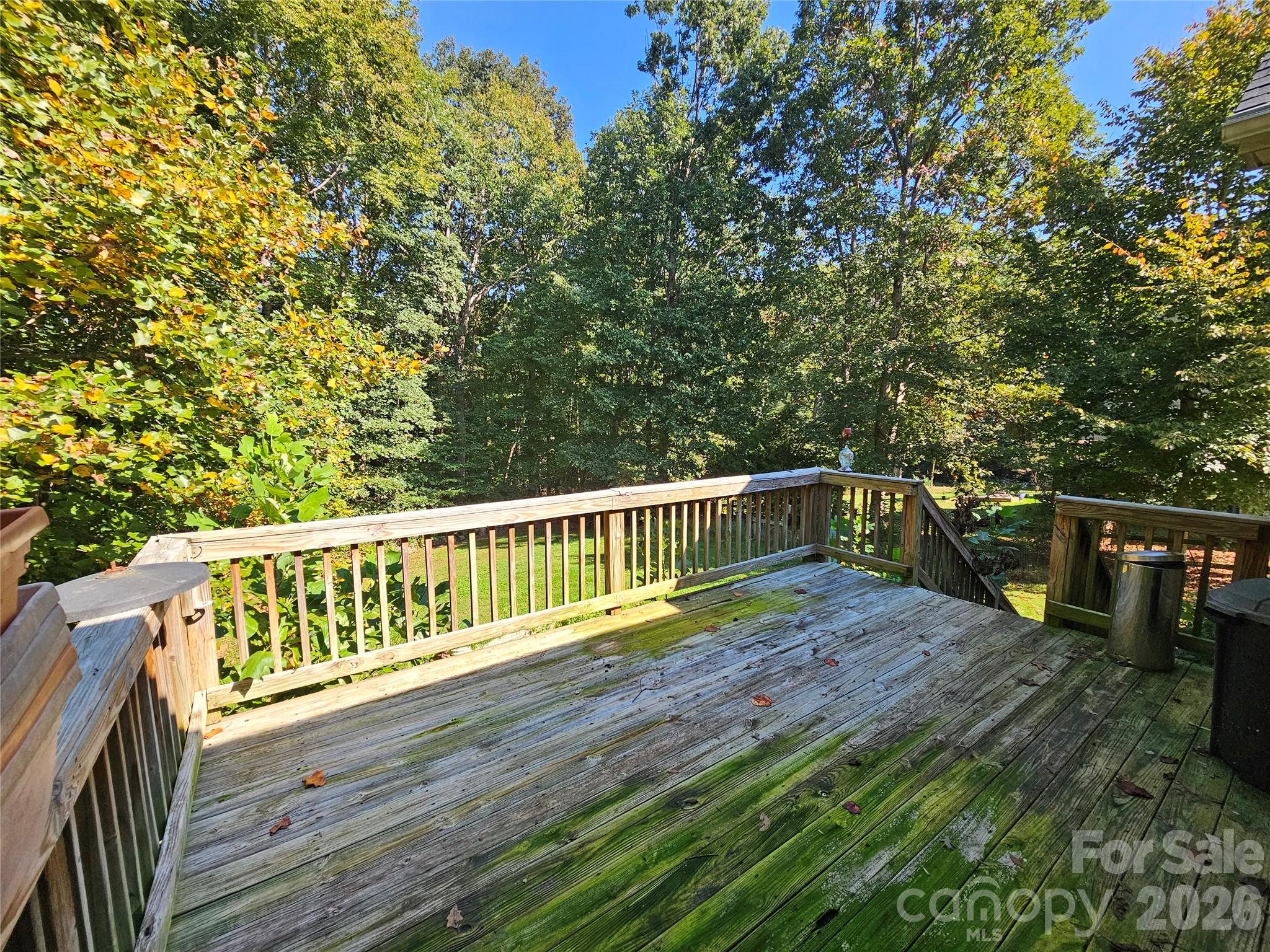 121 Loram Road Property Photo 19
