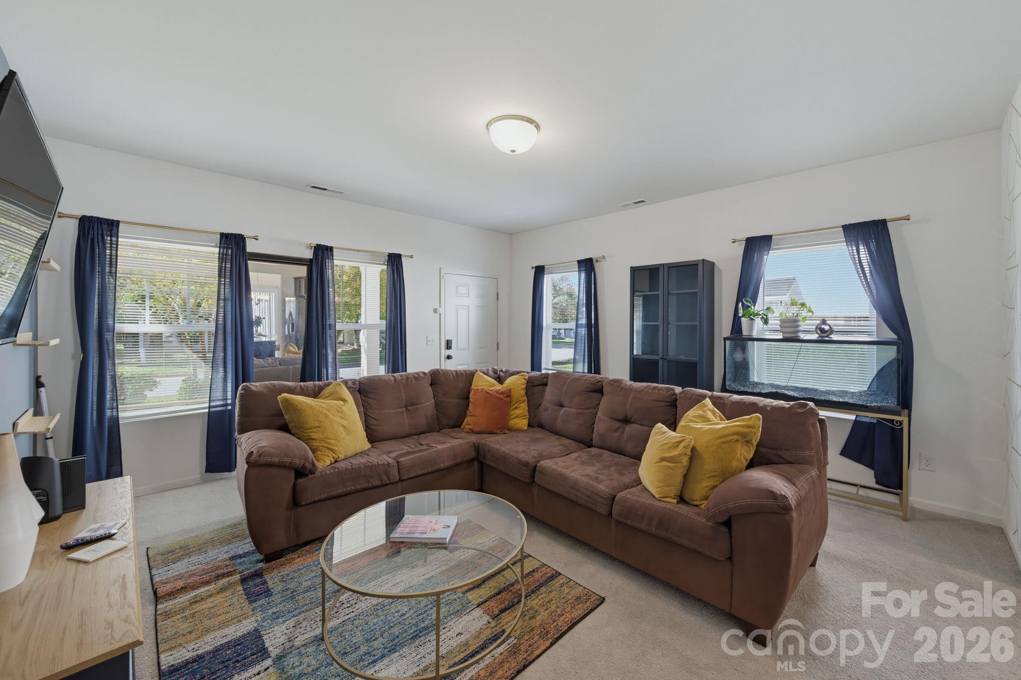 1157 Triece Lane Property Photo 6