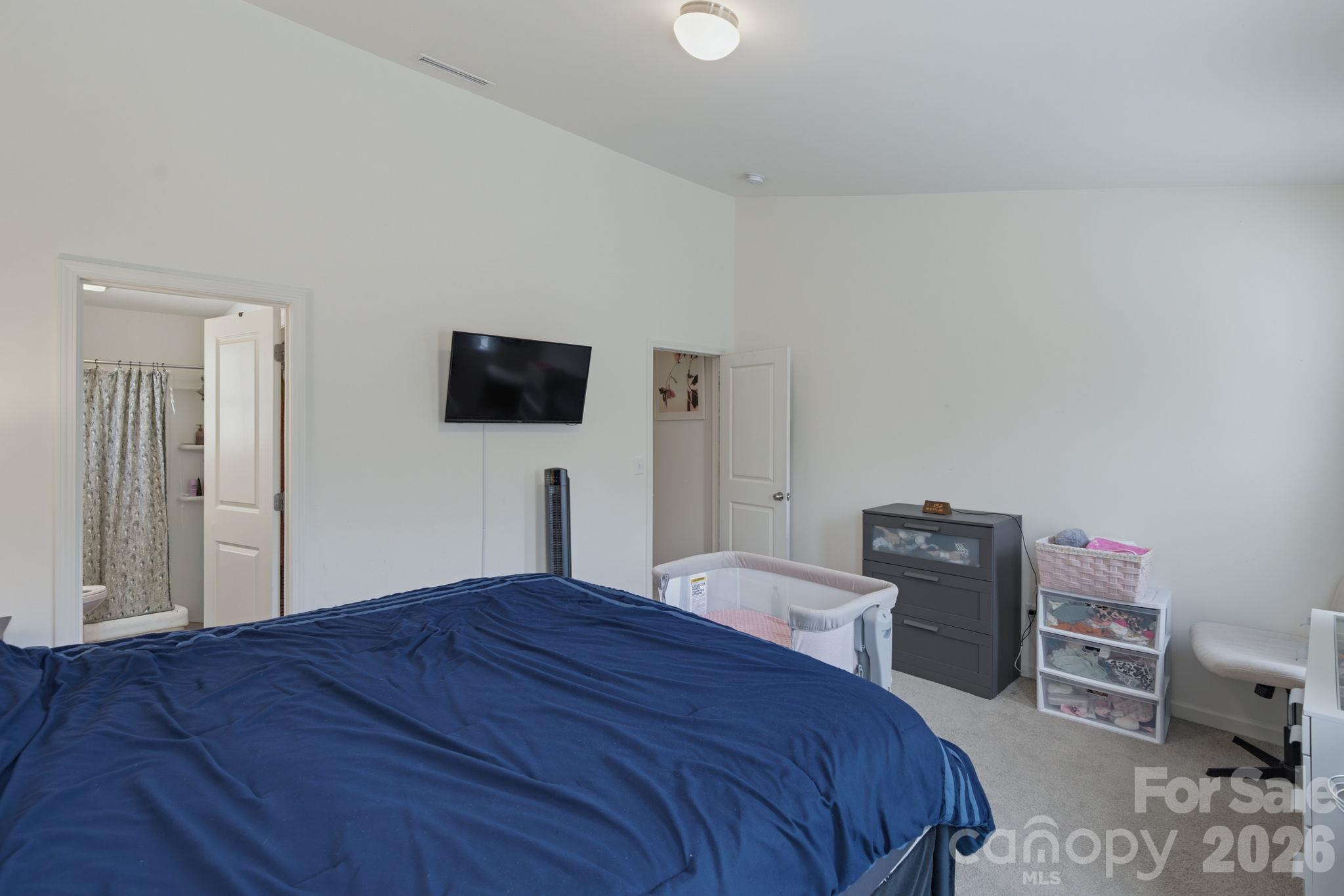 1157 Triece Lane Property Photo 19