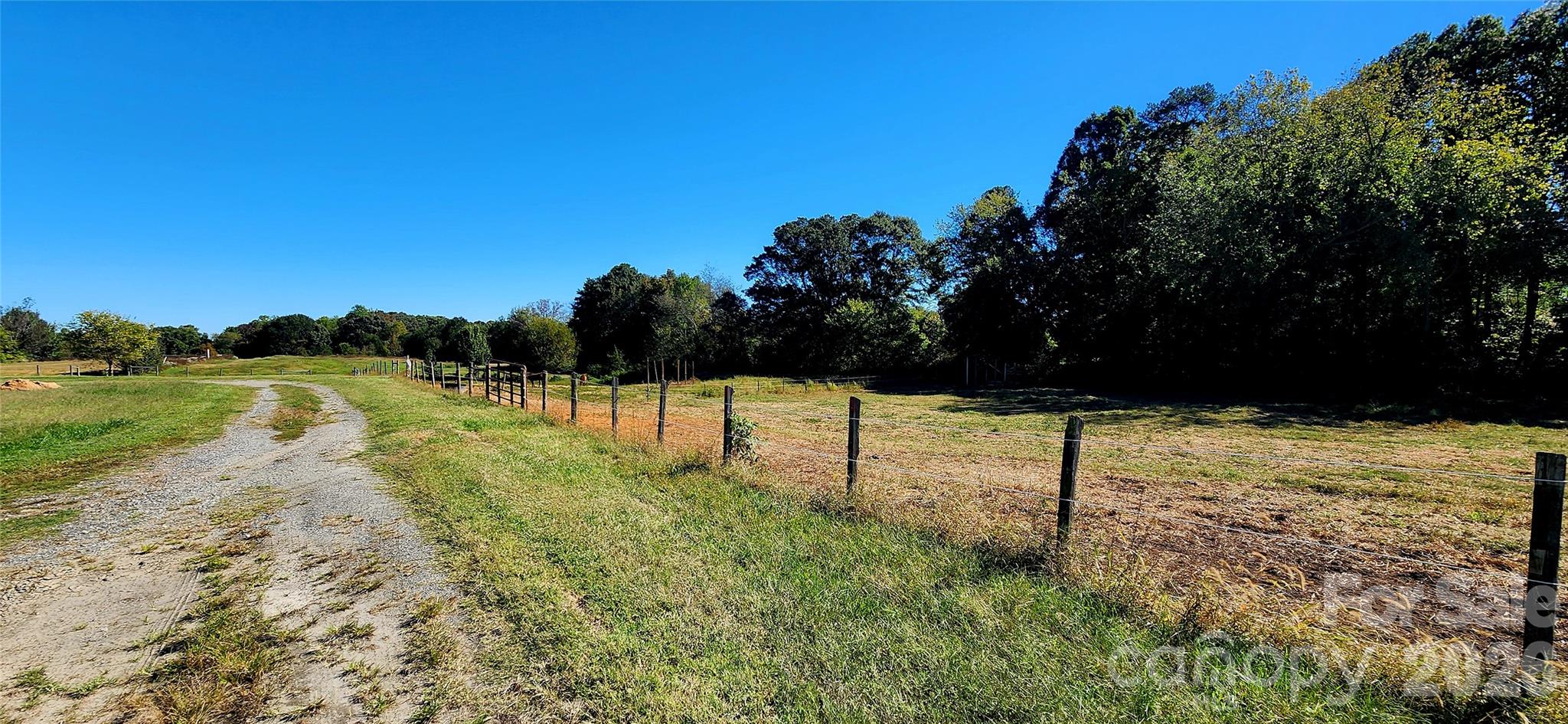 702 Ike Lynch Road Property Photo 3