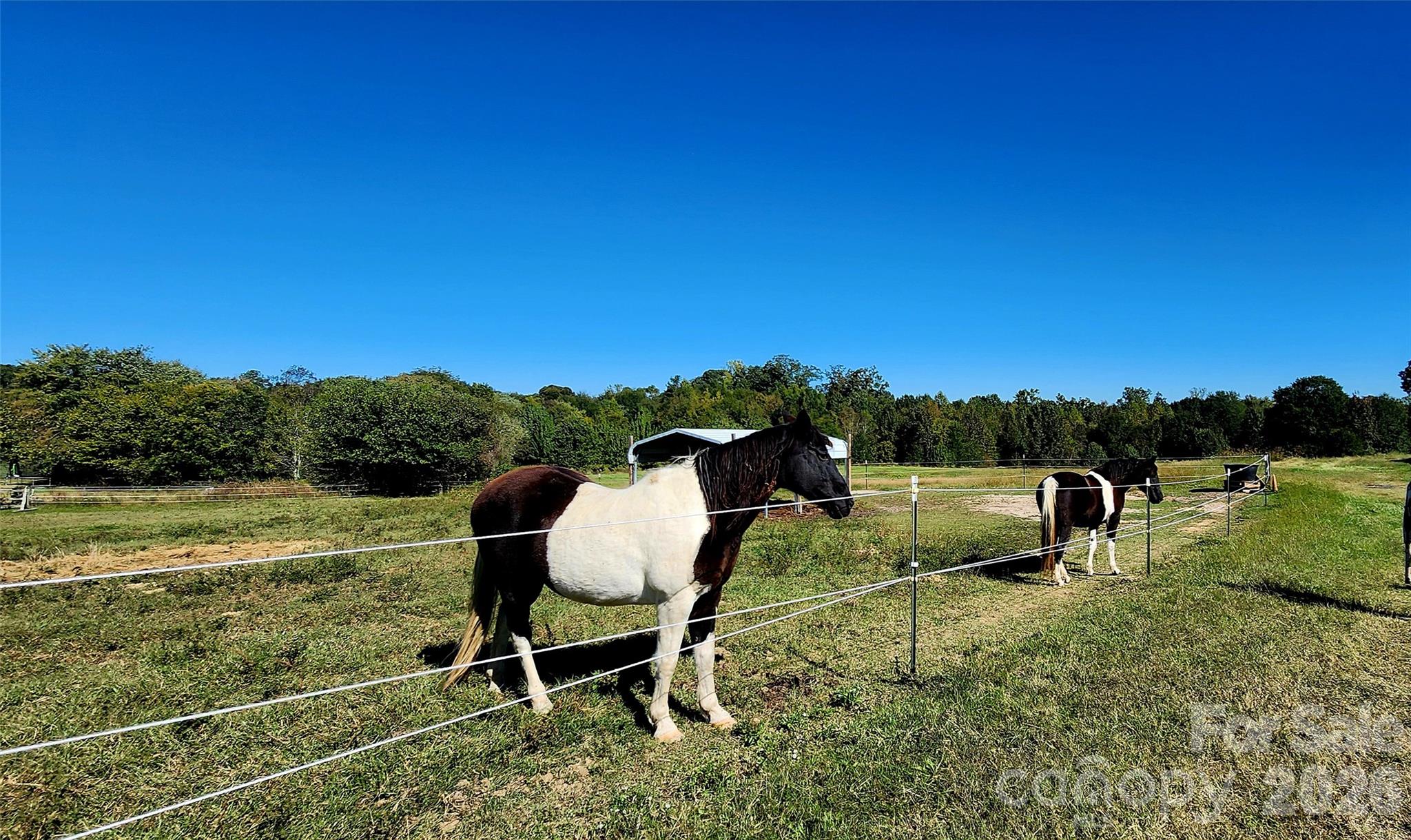 702 Ike Lynch Road Property Photo 29