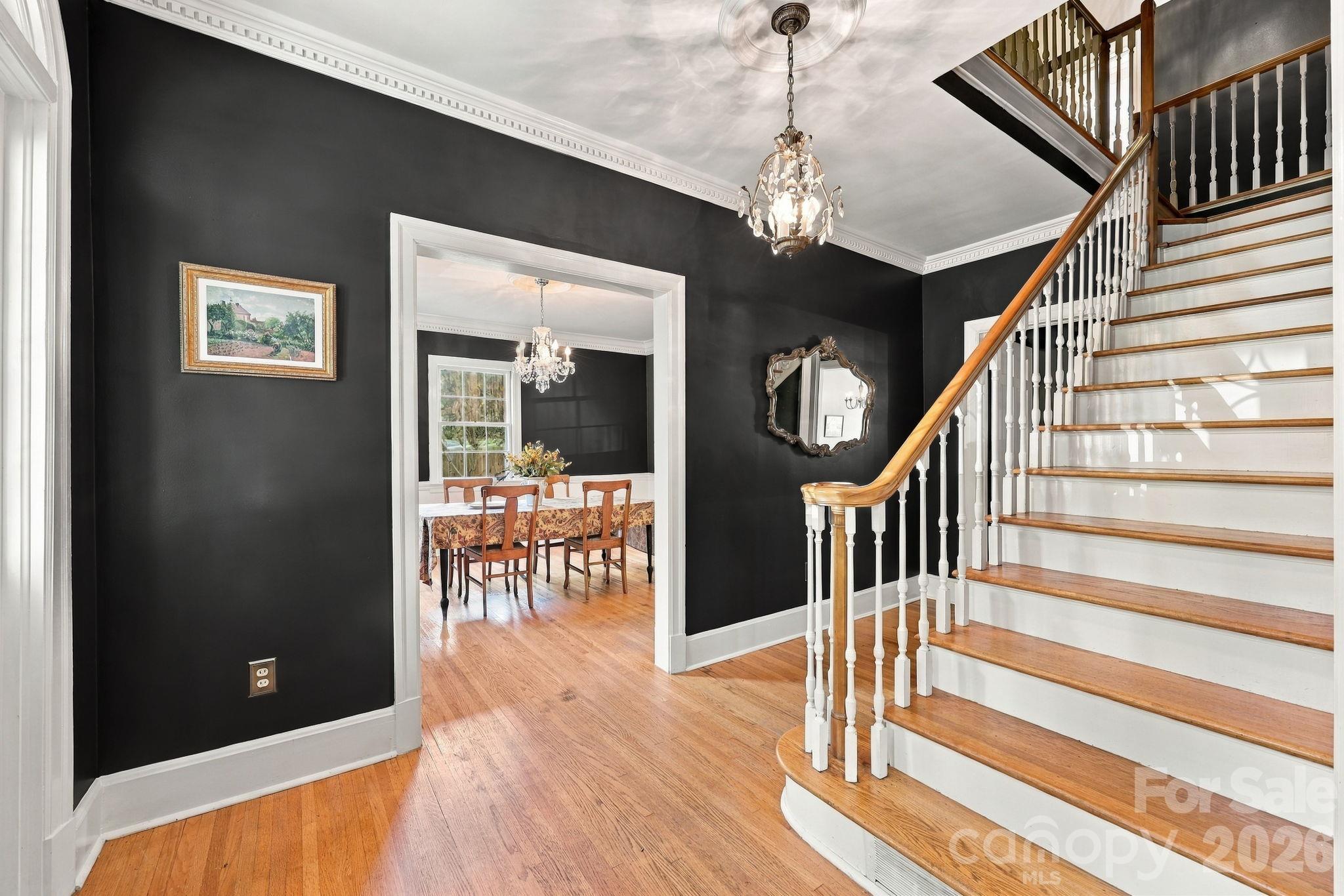259 Sunset Street Property Photo 3