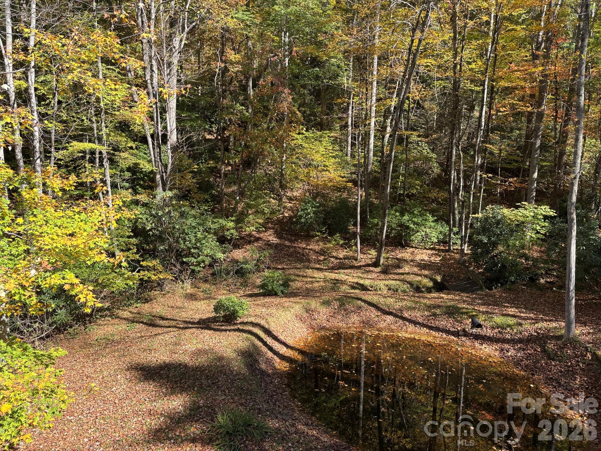 1661 Mckinney Mine Road Property Photo 25