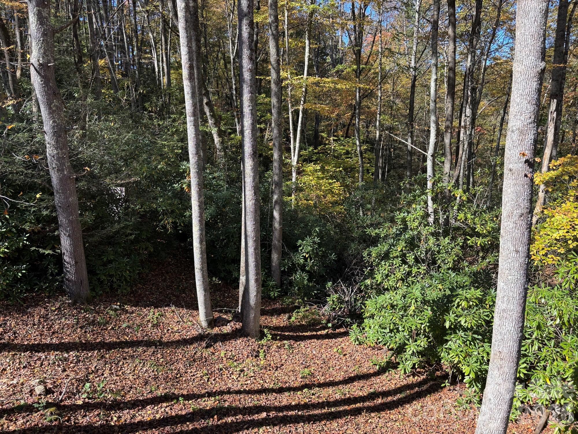 1661 Mckinney Mine Road Property Photo 26