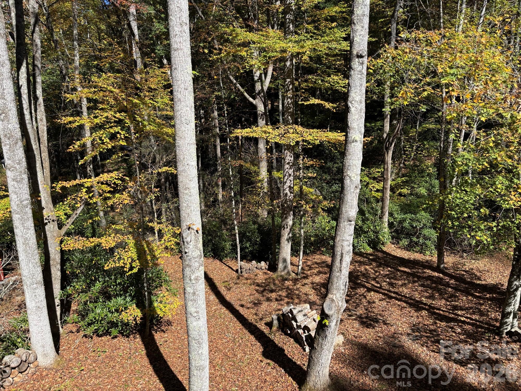1661 Mckinney Mine Road Property Photo 27
