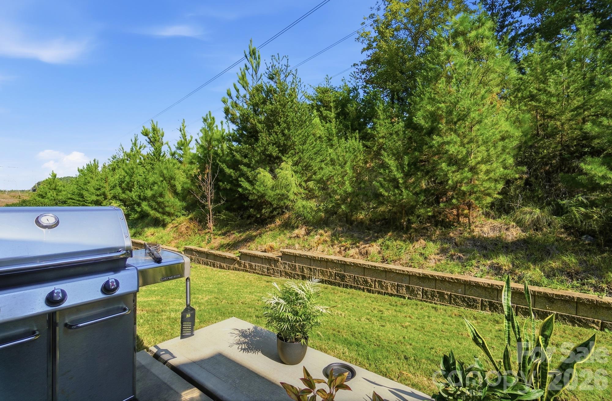 1138 Streamside Lane Property Photo 34