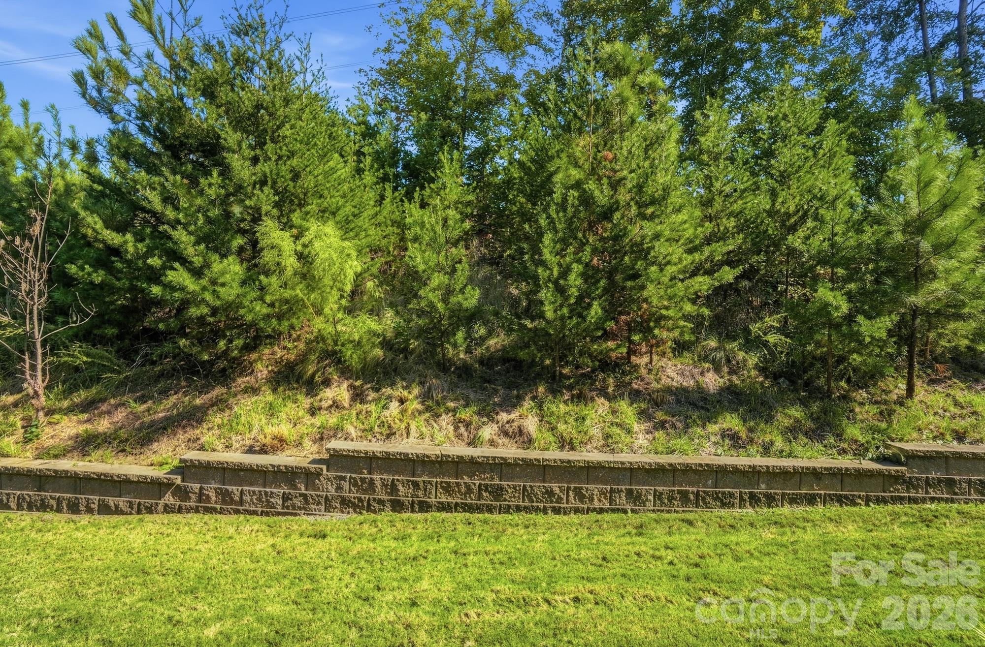 1138 Streamside Lane Property Photo 38