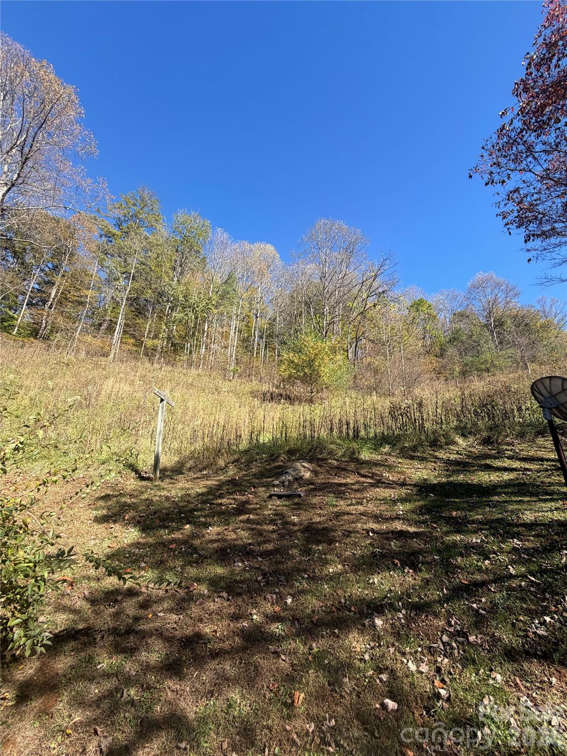 338 Sweet Creek Road Property Photo 4
