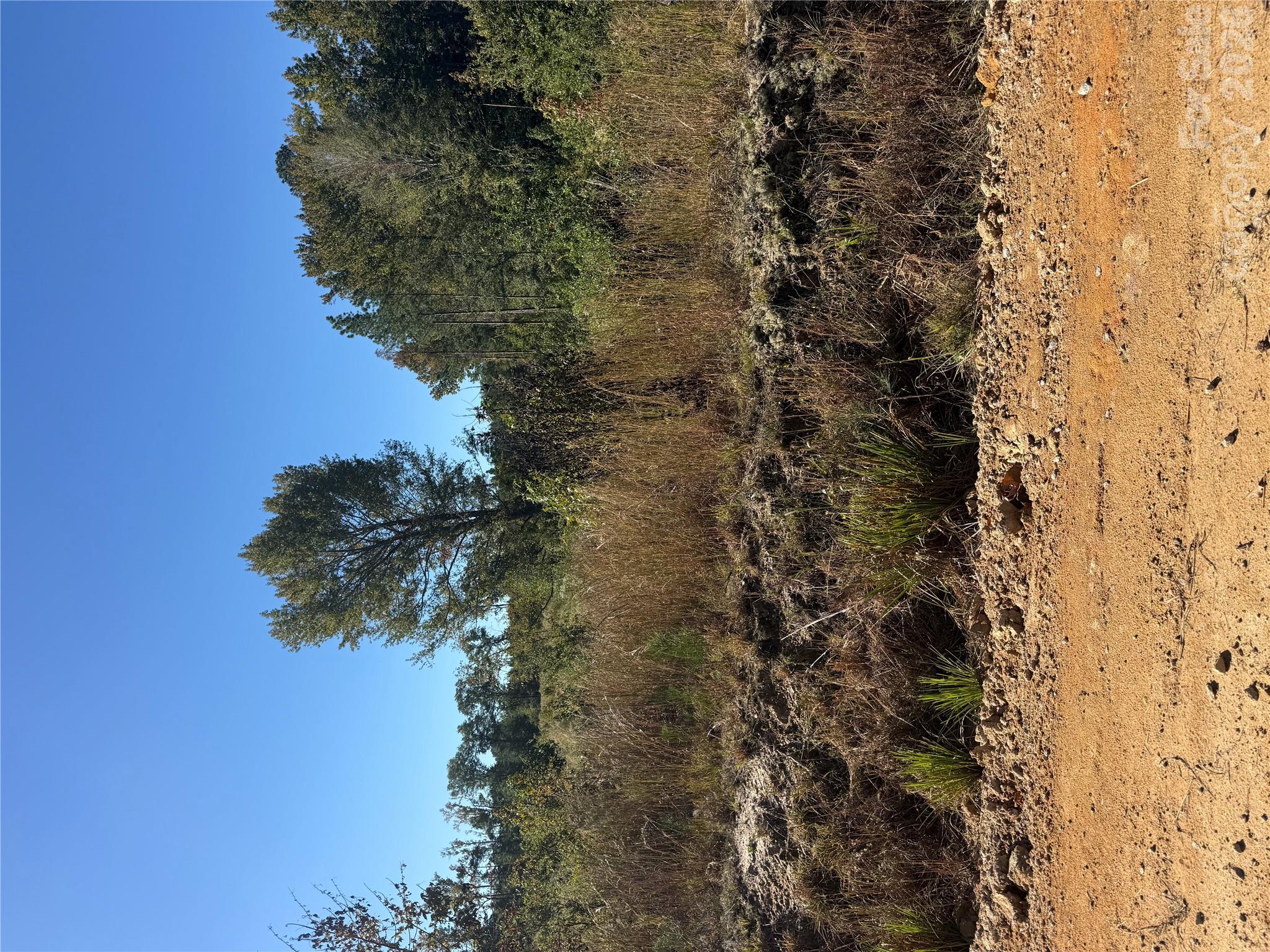 Tbd Rock House Road Property Photo 1