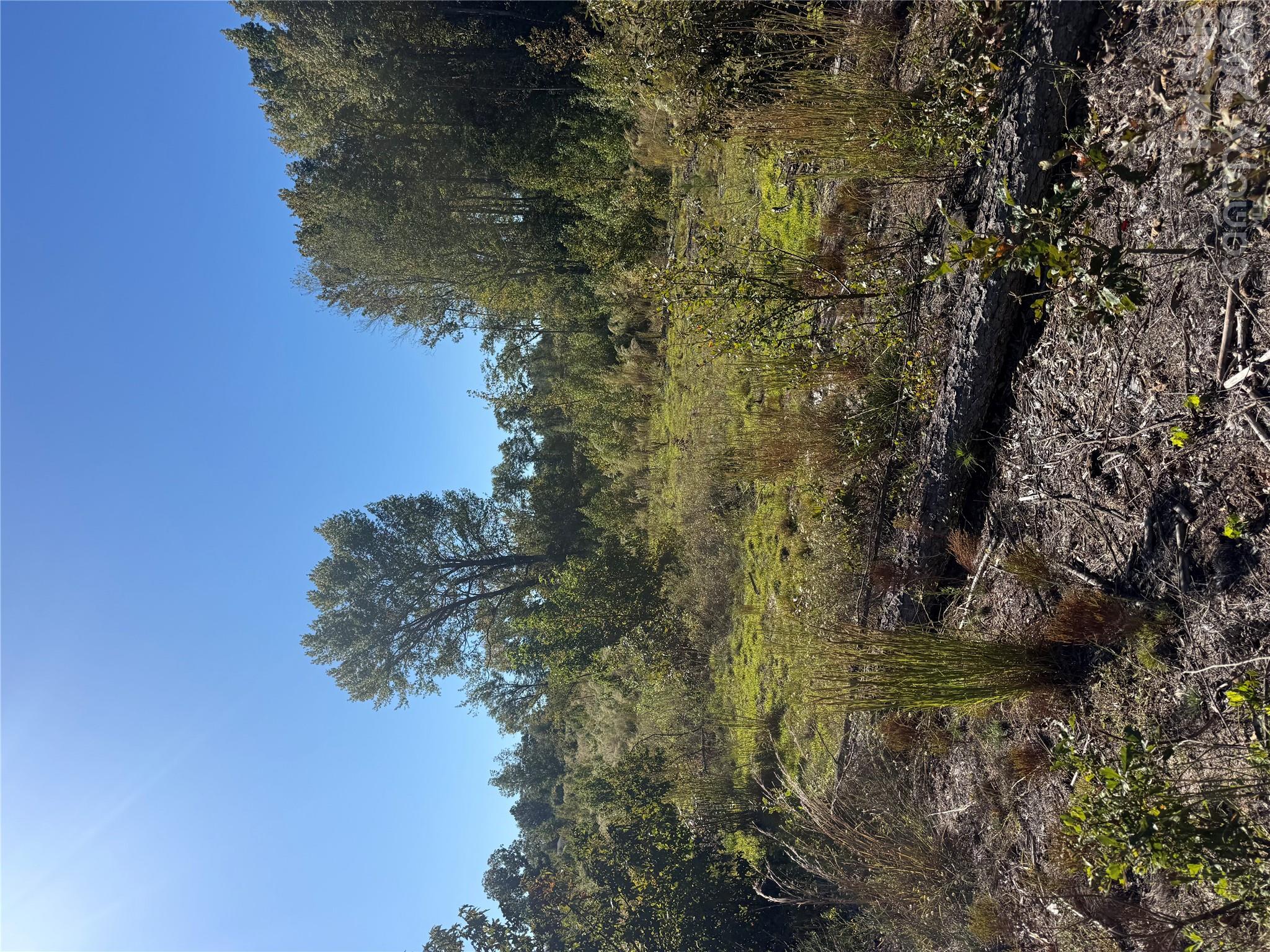 Tbd Rock House Road Property Photo 2