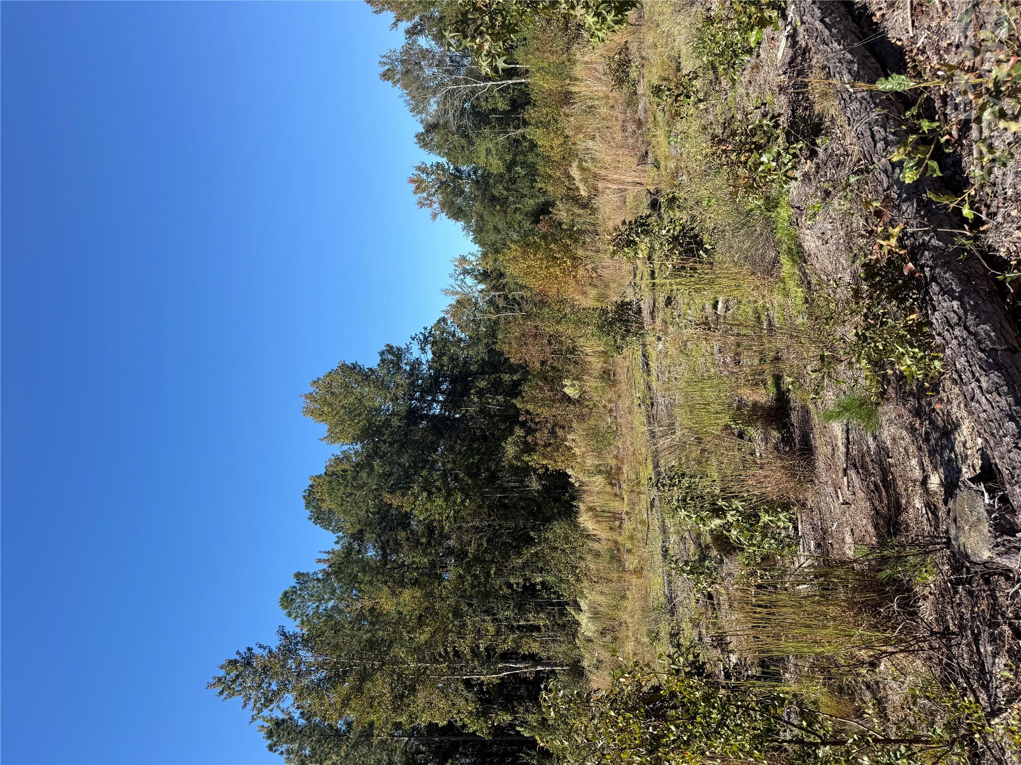 Tbd Rock House Road Property Photo 3