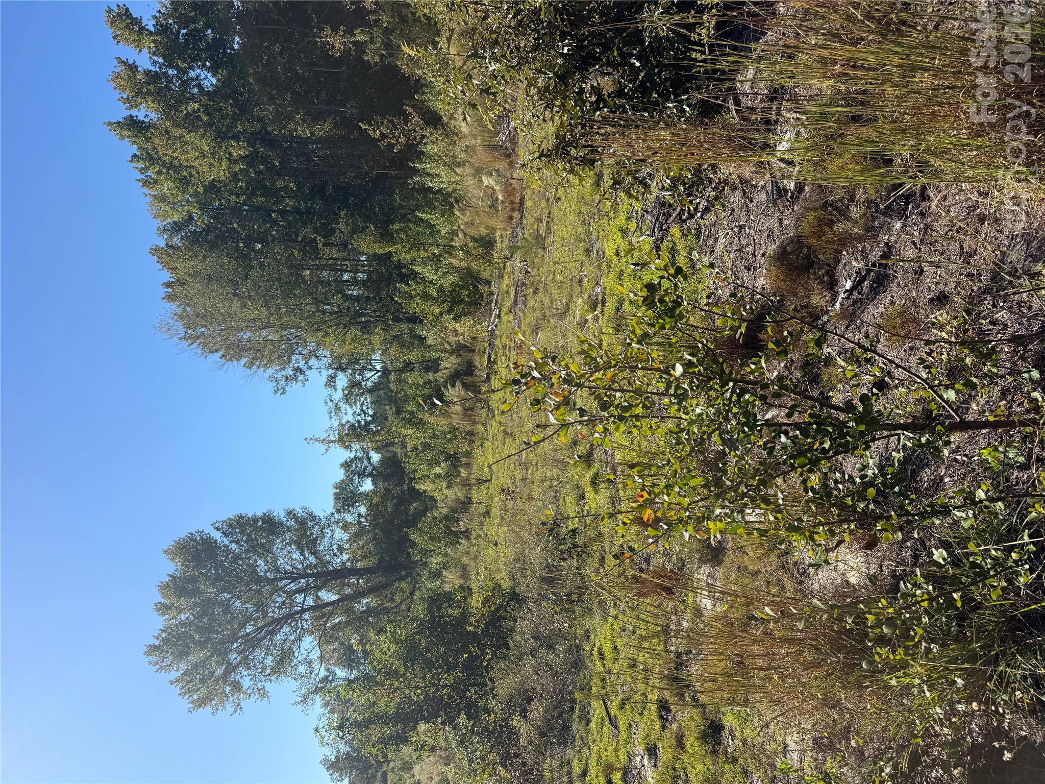 Tbd Rock House Road Property Photo 4