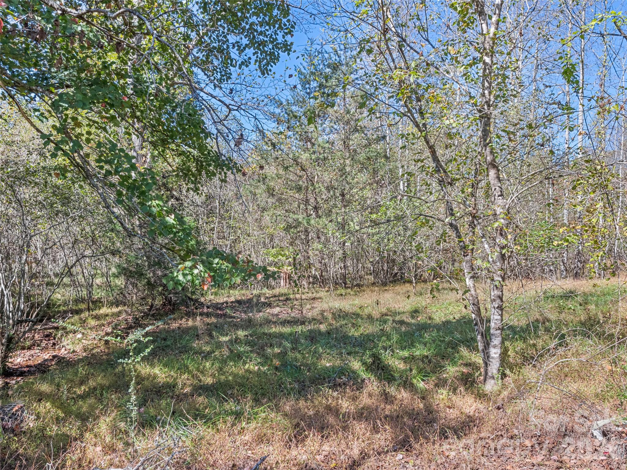 323 Joe Moody Road Property Photo 22
