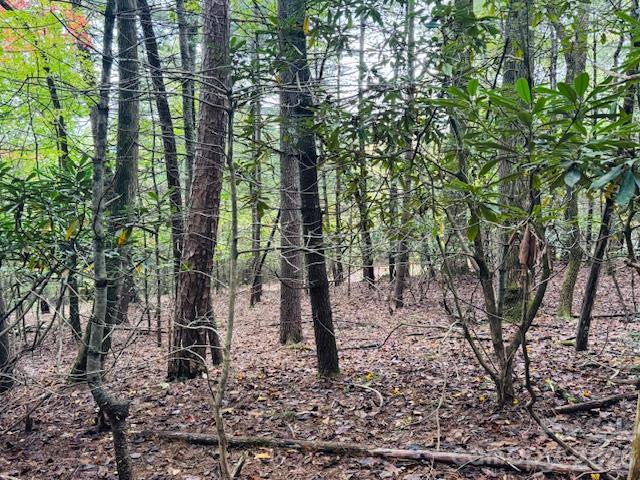 9999 Old Little Mountain Road Tract 5-a Property Photo 3