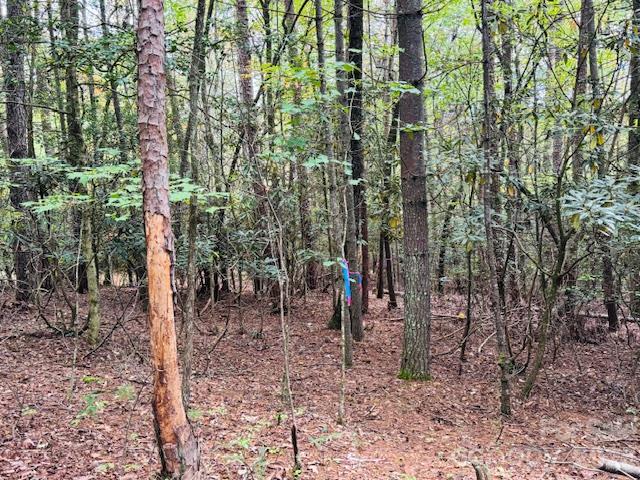 9999 Old Little Mountain Road Tract 5-a Property Photo 6