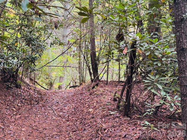 9999 Old Little Mountain Road Tract 5-a Property Photo 8
