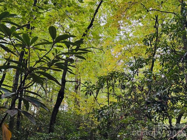 9999 Old Little Mountain Road Tract 5-a Property Photo 10