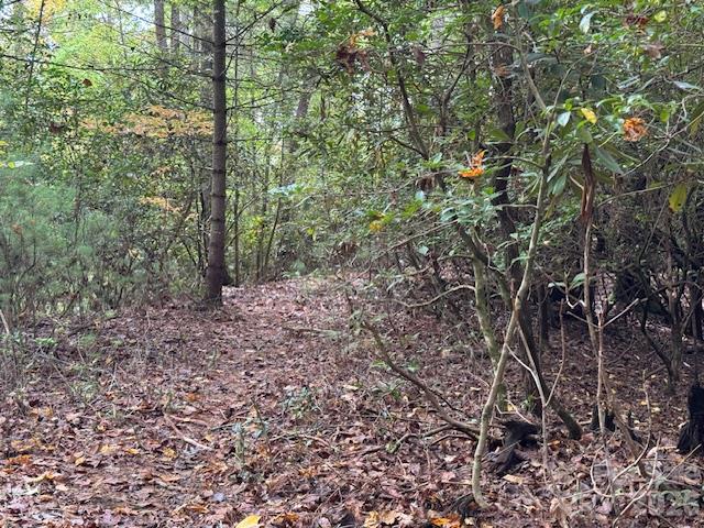 9999 Old Little Mountain Road Tract 5-a Property Photo 11