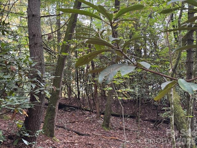 9999 Old Little Mountain Road Tract 5-a Property Photo 14