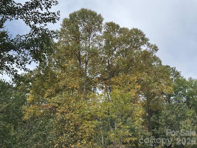 9999 Old Little Mountain Road Tract 5-a Property Photo 15