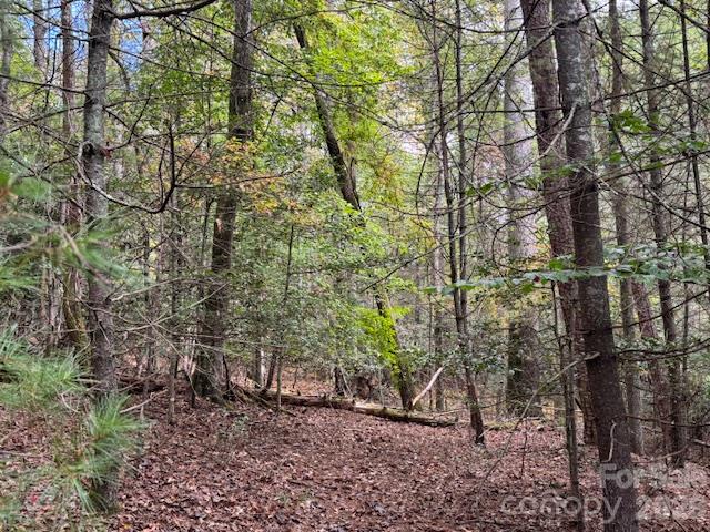 9999 Old Little Mountain Road Tract 5-a Property Photo 16