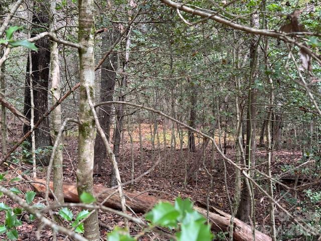 9999 Old Little Mountain Road Tract 5-a Property Photo 17