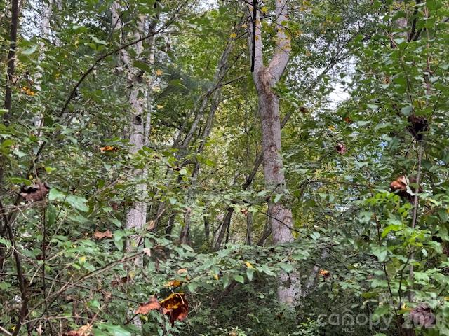 9999 Old Little Mountain Road Tract 5-a Property Photo 18