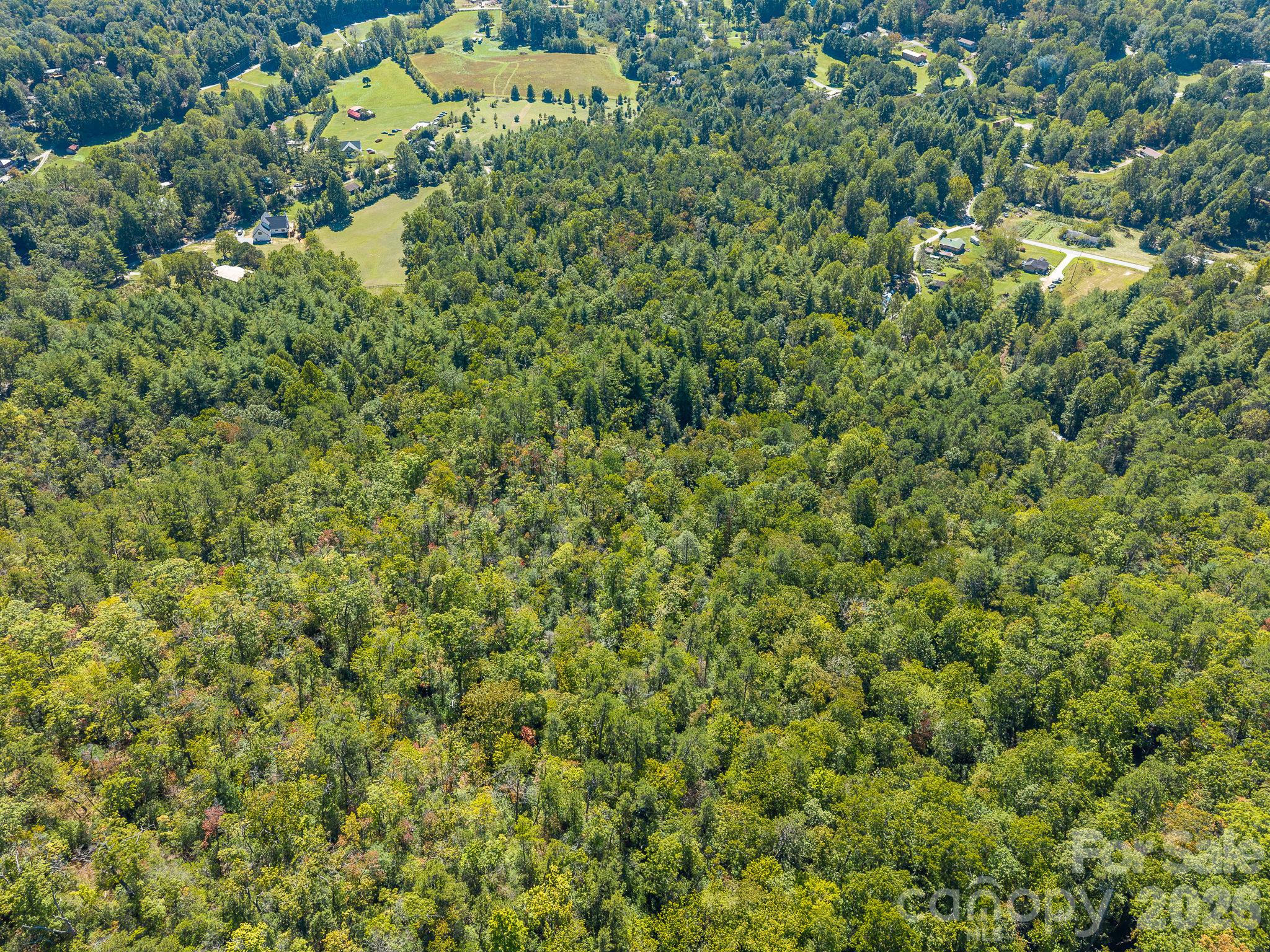 9999 Old Little Mountain Road Tract 5-a Property Photo 19