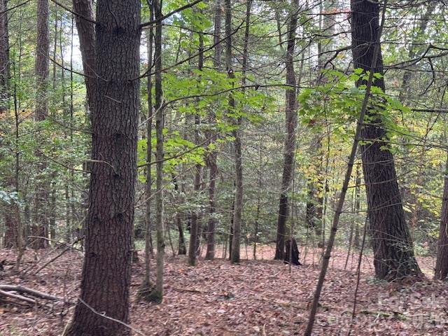 9999 Old Little Mountain Road Tract 5-a Property Photo 20