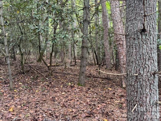 9999 Old Little Mountain Road Tract 5-a Property Photo 21